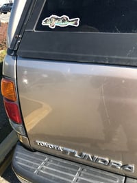 Image 4 of Blue Lingcod Sticker
