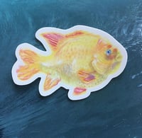 Image 1 of Garibaldi Sticker