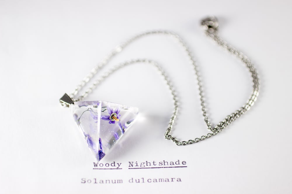 Image of Woody Nightshade (Solanum dulcamara) - Prism Necklace #1