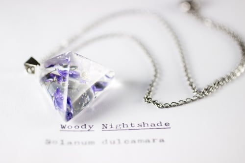 Image of Woody Nightshade (Solanum dulcamara) - Prism Necklace #1