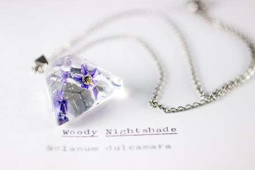 Image of Woody Nightshade (Solanum dulcamara) - Prism Necklace #1