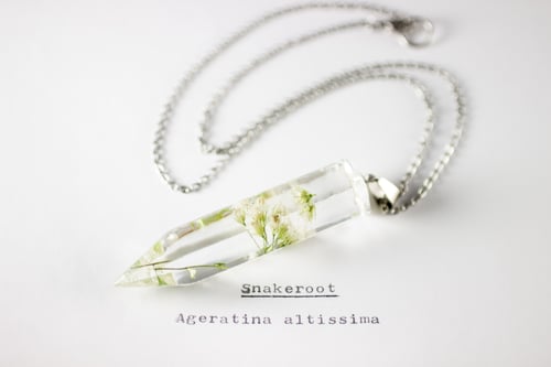 Image of Snakeroot (Ageratina altissima) - Large Crystalline Pendant #1