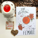 THE MENSTRUATION APPRECIATION RANGE A5