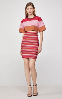 Herve Leger Striped High Waist Mini Skirt dresses