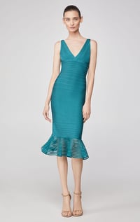 Herve Leger Tulle Applique Flared Dress