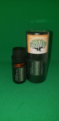 Eucalyptus Essential Oil 