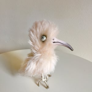 Image of Peaches the Bird