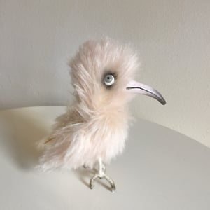 Image of Peaches the Bird