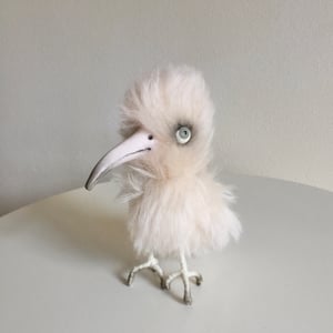 Image of Peaches the Bird