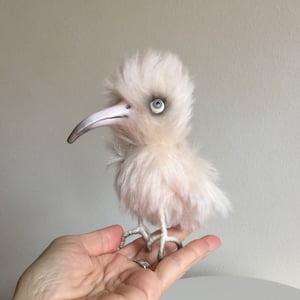 Image of Peaches the Bird