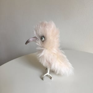 Image of Peaches the Bird