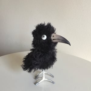 Image of Comet the Crow