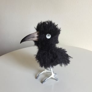 Image of Comet the Crow