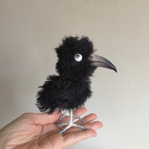 Image of Comet the Crow