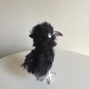 Image of Comet the Crow