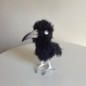 Image of Comet the Crow