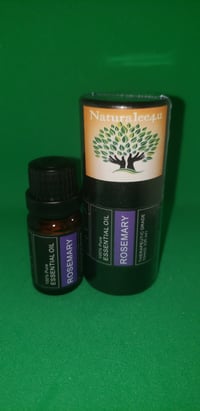 Rosemary Essential Oil 