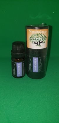 Lavender Essential Oil 