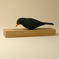 Image 3 of Blackbird with mealworm