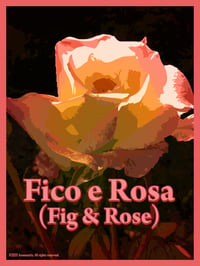 Image 2 of Fico e Rosa - (Fig & Rose)