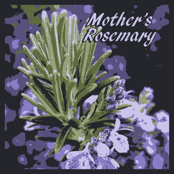 Image of Mother's Rosemary
