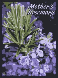 Image 2 of Mother's Rosemary