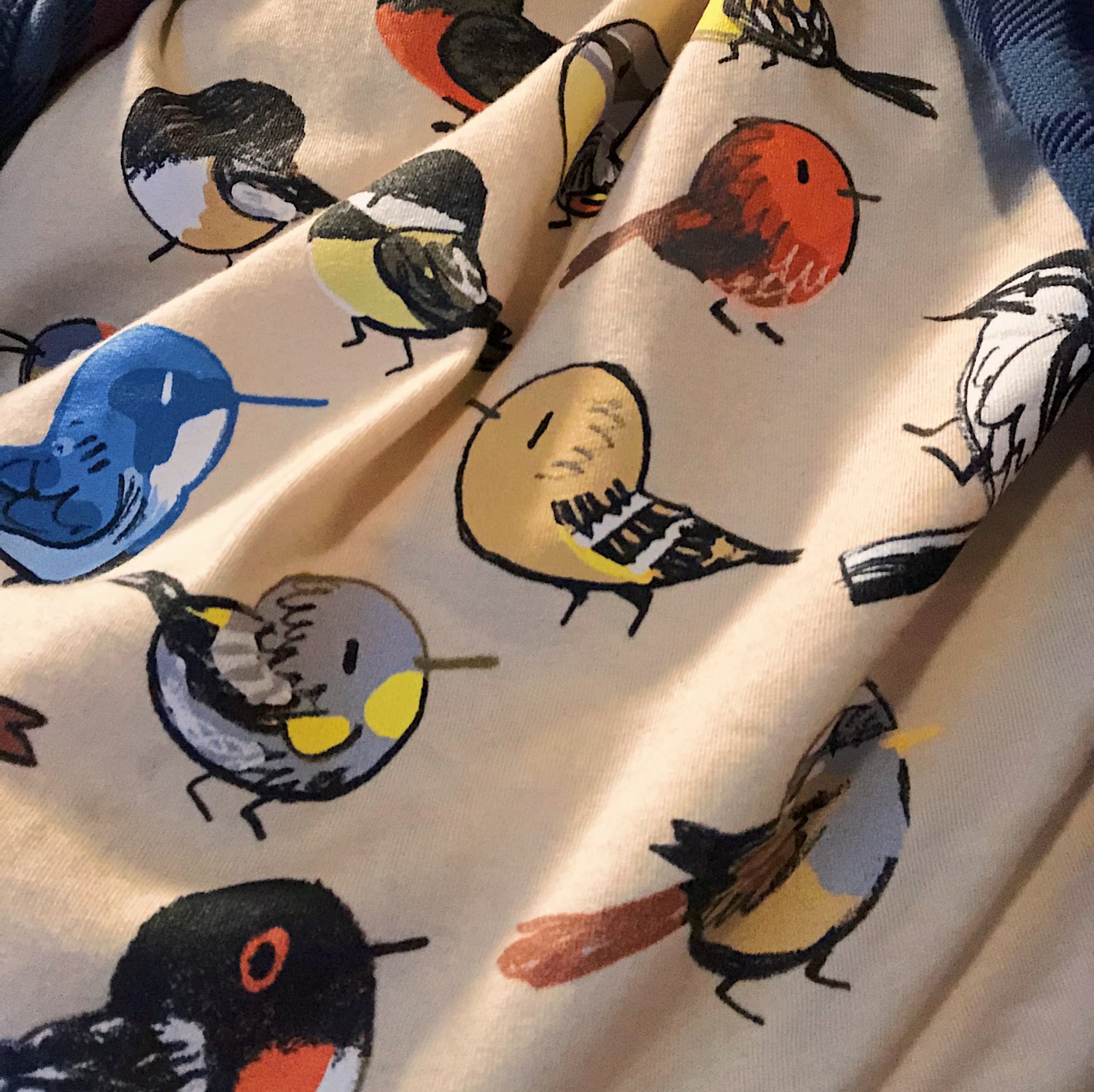 Image of Backyard Birds Shirt