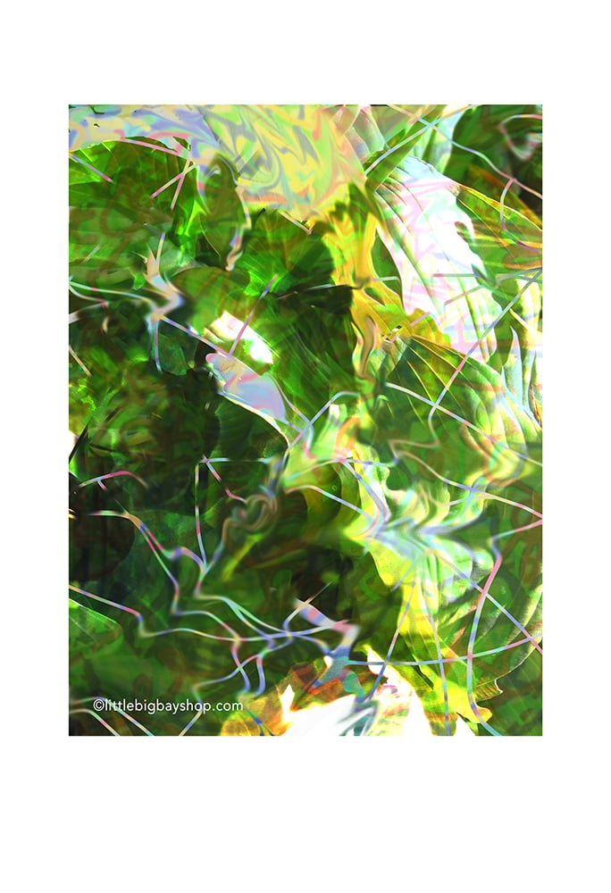 Spring Breath 02