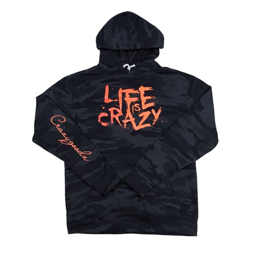 Image of L.I.C Black OPS Hoodie