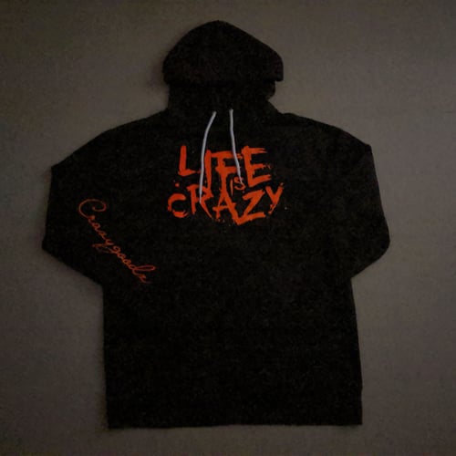 Image of L.I.C Black OPS Hoodie