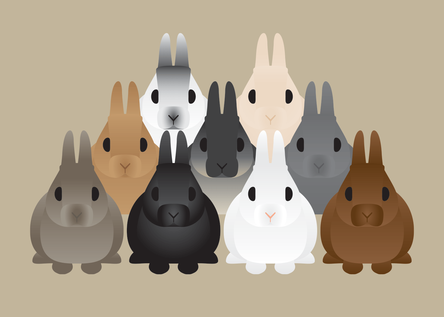 Rabbit Collection | marcartshop