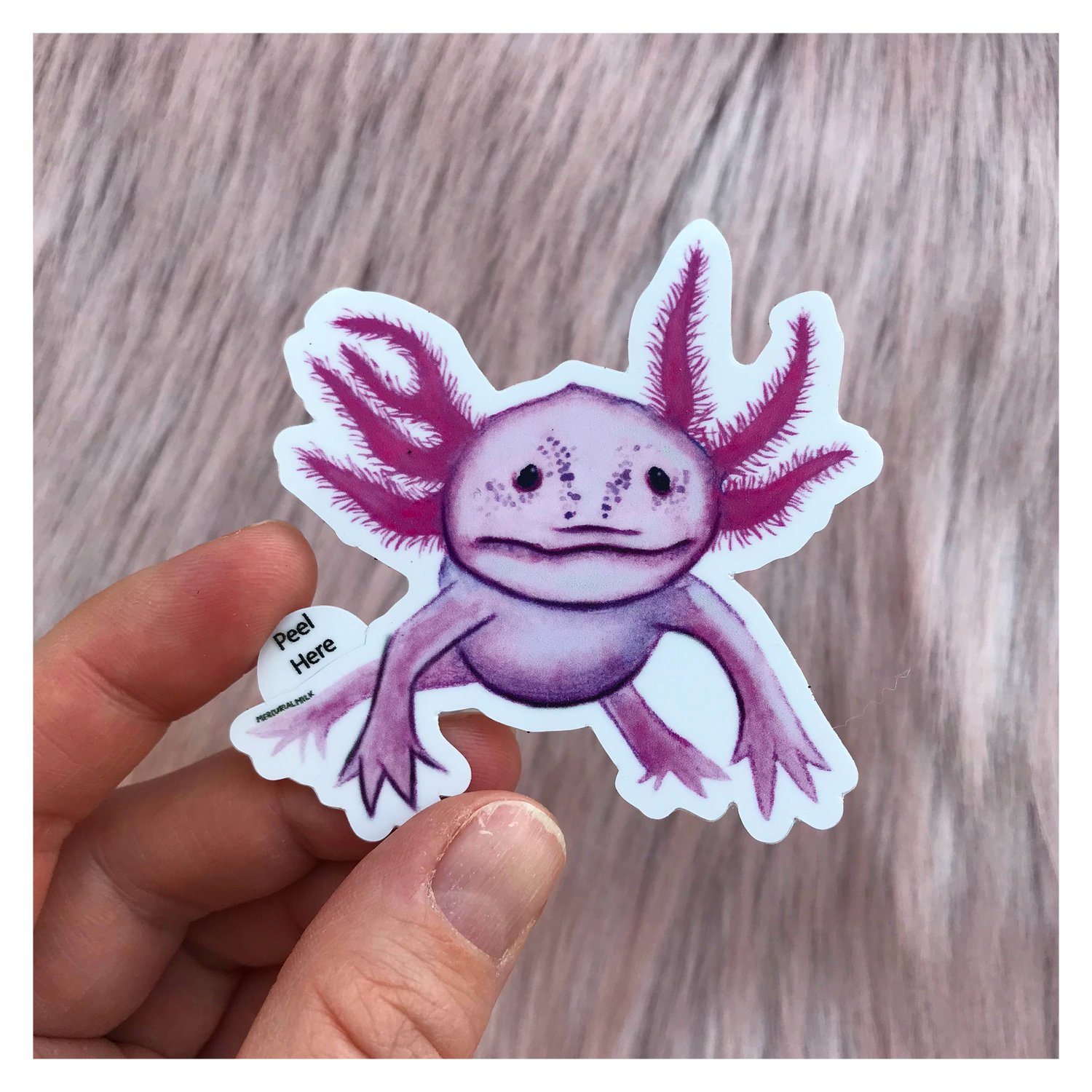 Image of Axolotl Sticker - 3 inch