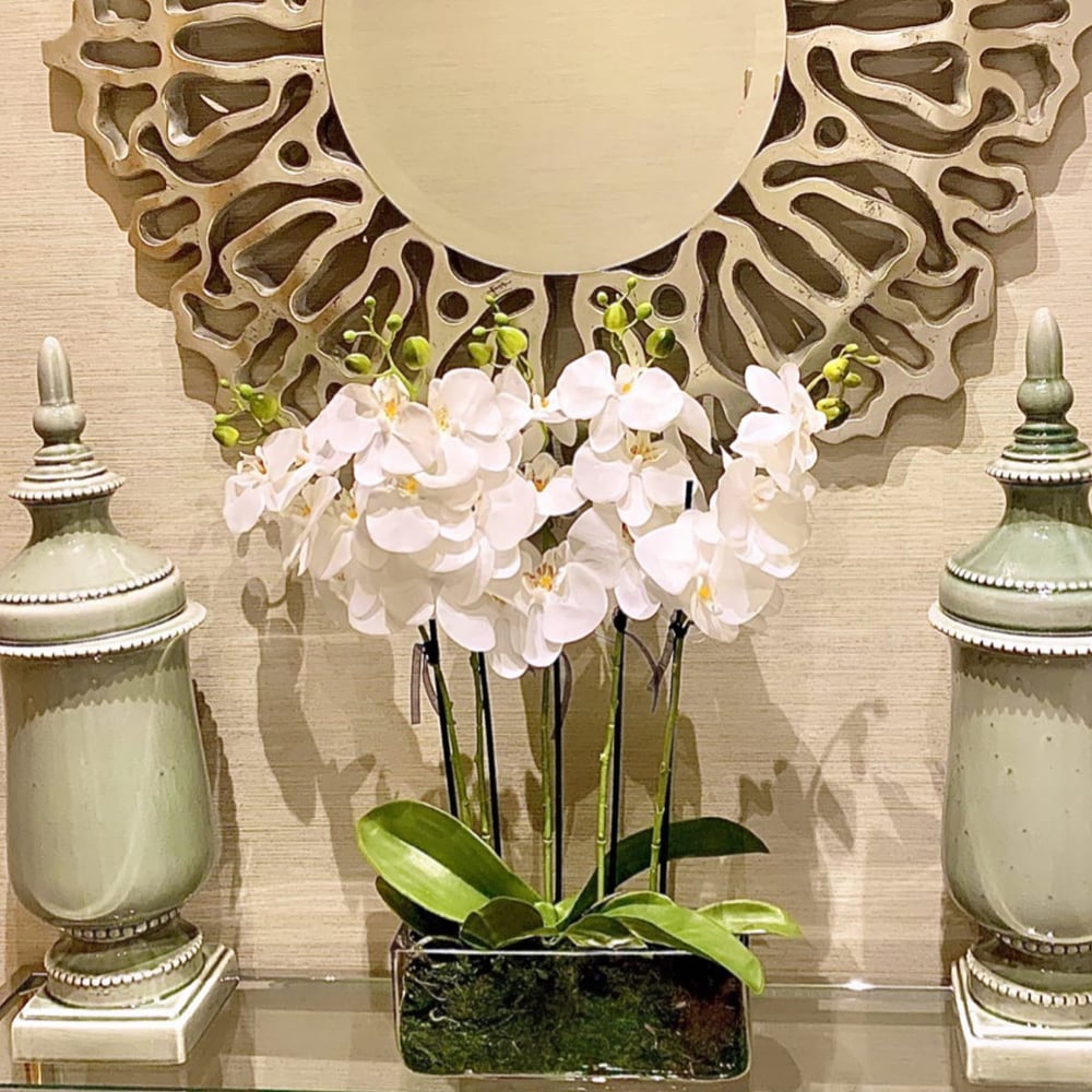 Image of Rectangular vase with white orchids