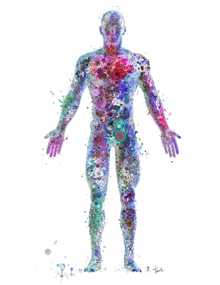 Image of I, VIRUS: The body