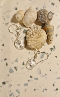 Image 1 of Limpet Shell Hook Earrings