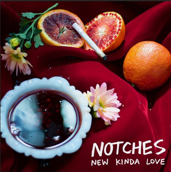 Image of NOTCHES - NEW KINDA LOVE / ALMOST RUINED EVERYTHING CD