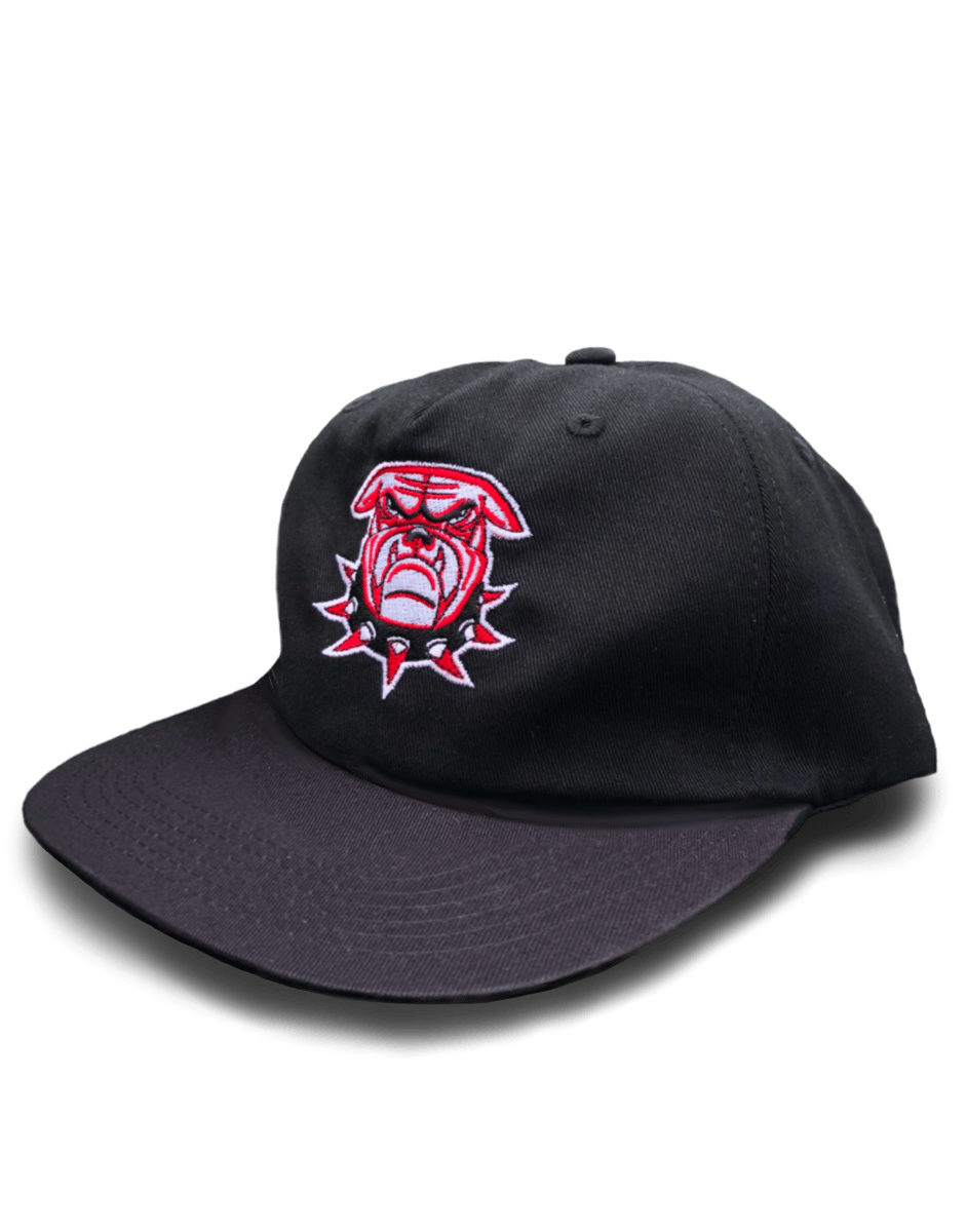 Black Adjustable 5-panel Embroidered Hat