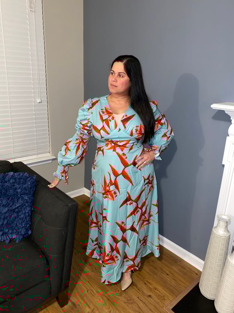 Image of Aqua and Red Dress