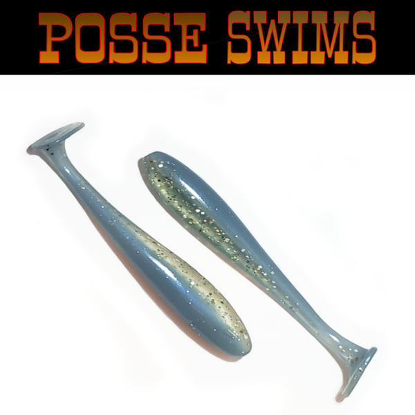 Image of Posse Swims 
