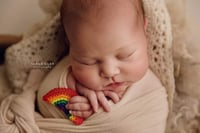 Image 1 of newborn rainbow photography prop