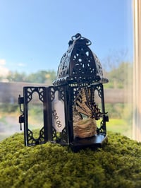 Image 2 of Swallowtail Lantern 
