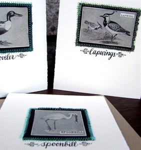 Image of Special Tweet Birds (three cards: Spoonbill, Lapwings, Shoveler)