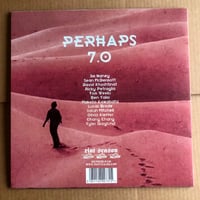Image 4 of PERHAPS '7.0' White Vinyl LP