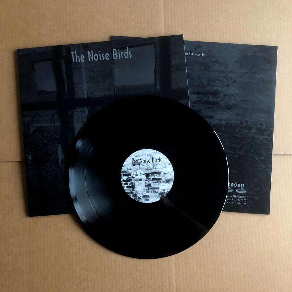 THE NOISE BIRDS 'The Dark Sea Hides A Bright Light' Vinyl LP