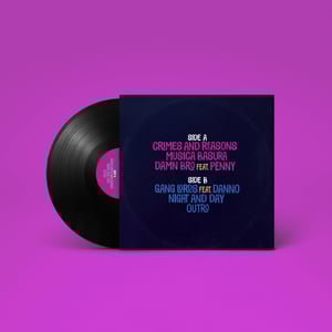 Image of SWED - Border Wall EP (LIMITED EDITION VINYL)