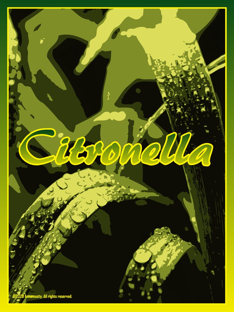 Image of Citronella