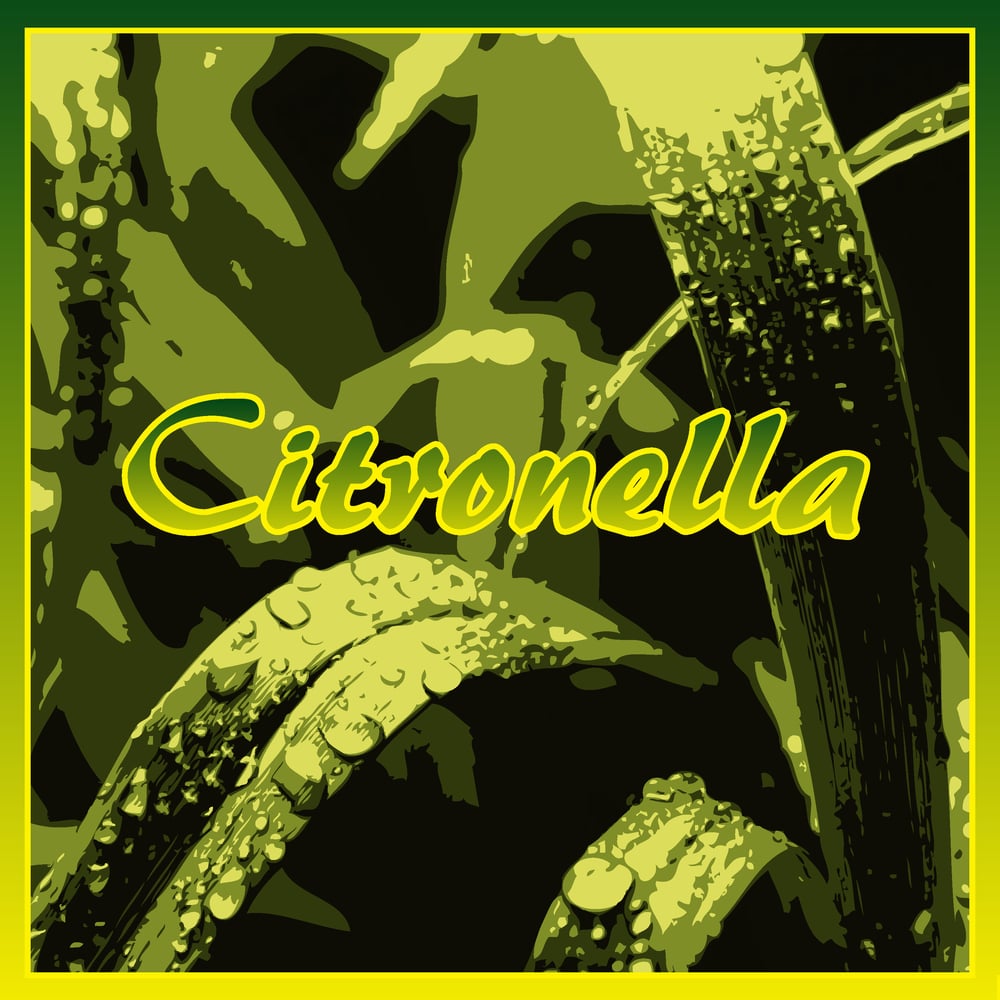 Image of Citronella