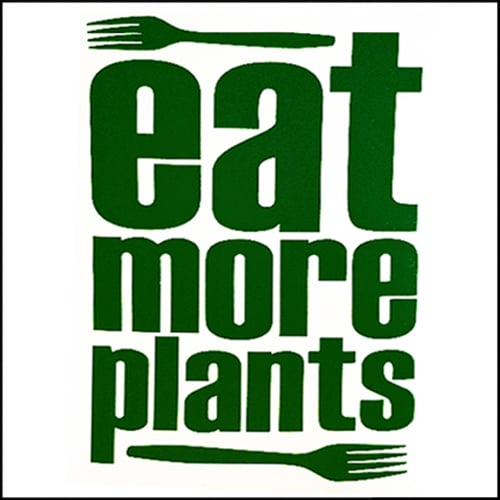 Image of Eat More Plants DECAL