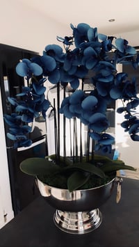 Image 3 of Blue orchid in champagne bowl