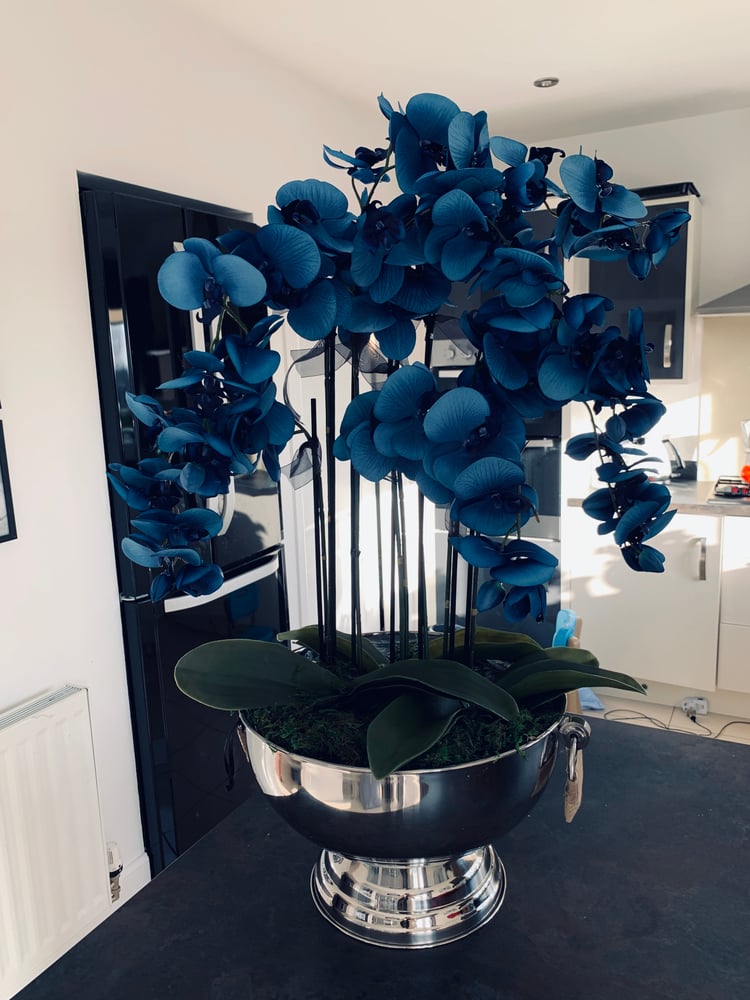 Image of Blue orchid in champagne bowl